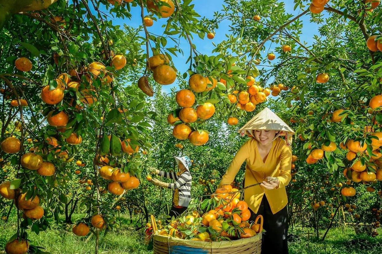 What Makes the Mekong Delta a Must-Visit in Vietnam? Mekong-Delta-Tropical-Fruits-Garden What Makes the Mekong Delta a Must-Visit in Vietnam?