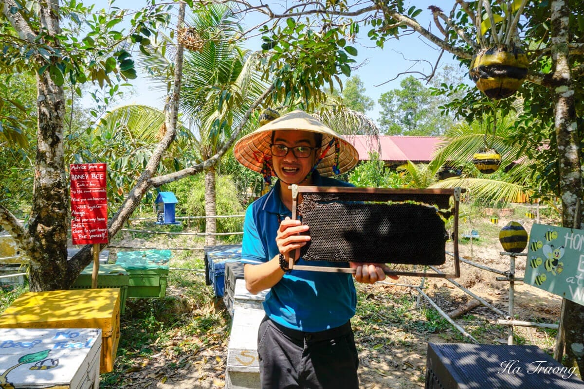 Phu-Quoc-Bee-Farm Hidden Gems of Phu Quoc: Where the Tourists Don’t Go