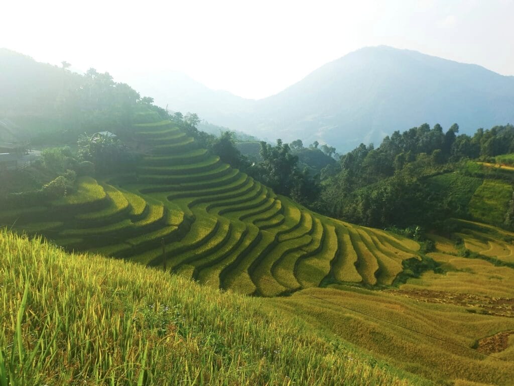 ban-lien-bac-ha-moc-mac-don-so-niu-chan-du-khach-16058-2-1024x768 Bac Ha Hidden Treasures: Beyond the Famous Market