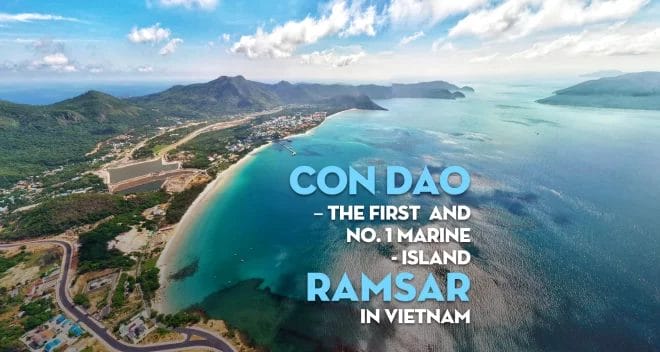 con-dao-the-first-and-no-1-marine--island-ramsar-in-vietnam