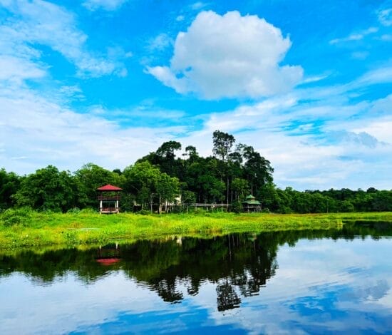 Nam Cat Tien National Park: Travel Tips and Activities crocodile-area Nam Cat Tien National Park: Travel Tips and Activities