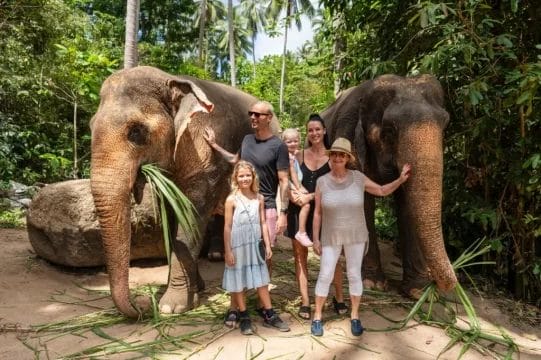 top-ethical-elephant-sanctuaries-in-thailand-to-visit-for-a-meaningful-travel-experience
